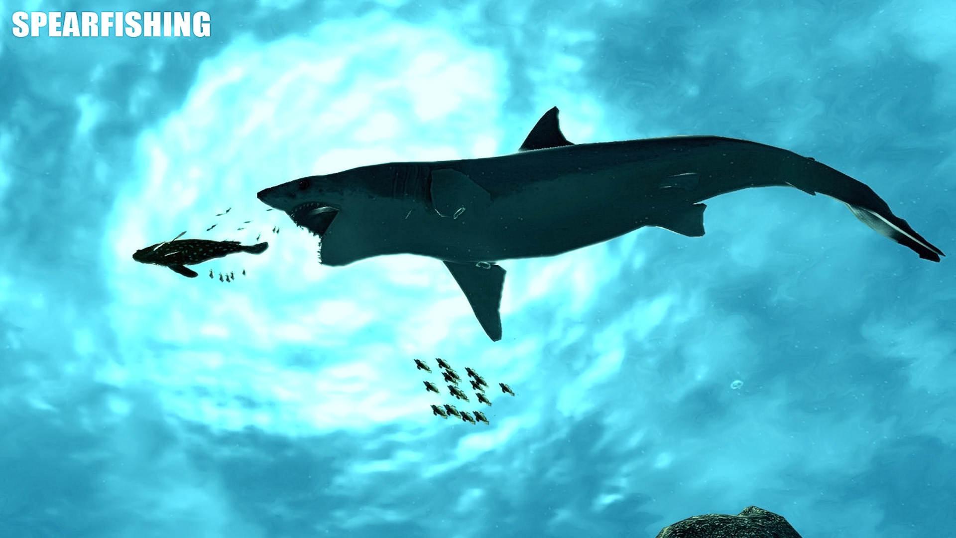 1920x1080 Spearfishing wallpaper HD for desktop background