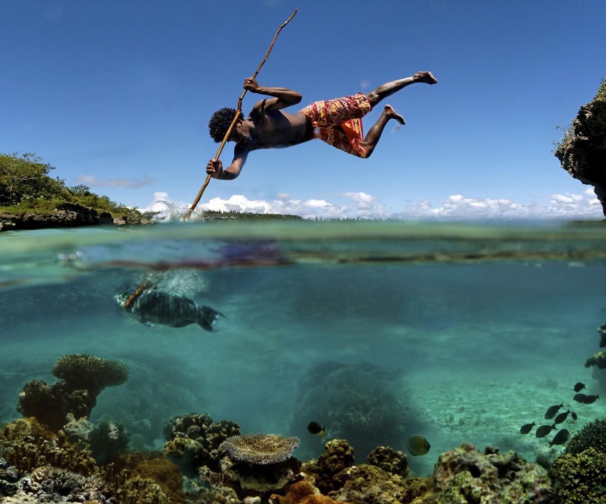 1208x1005 Spearfishing Wallpaper