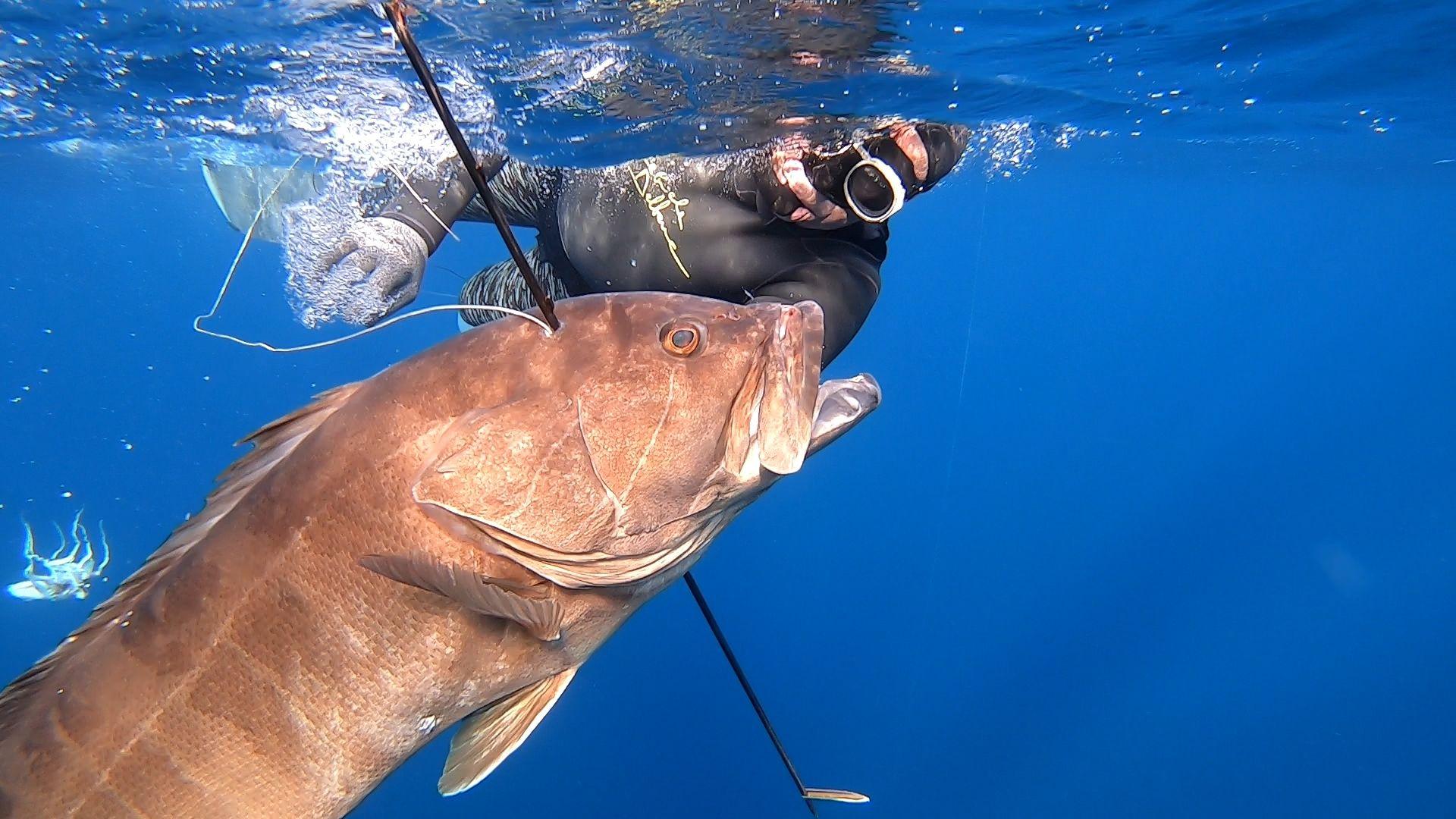 1920x1080 Deep spearfishing in variable weight 2 Passion Magazine