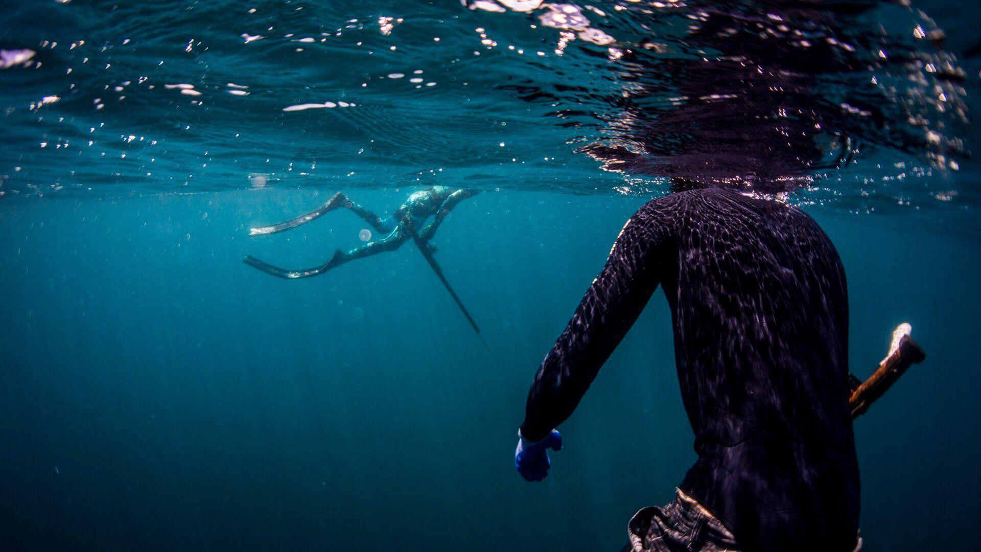 1920x1080 Spearfishing Course Evolve Freediving Learn From The Best