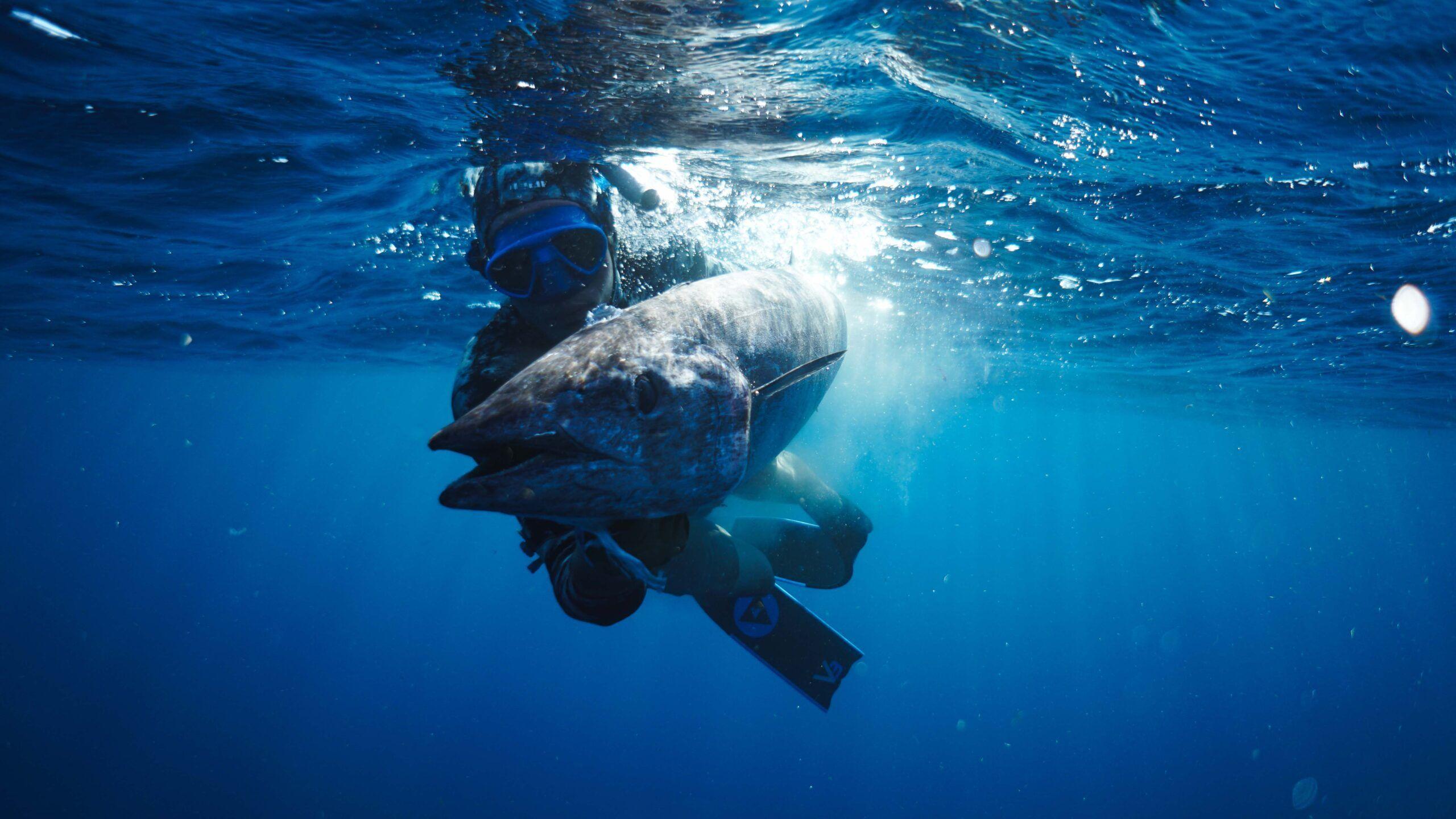 2560x1440 Spearfishing Fundamentals Workshop