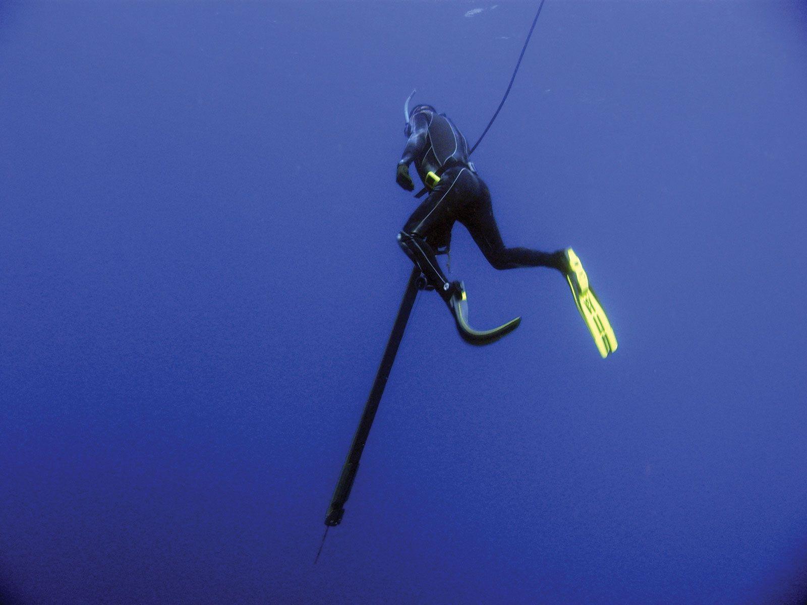 1600x1200 Spearfishing