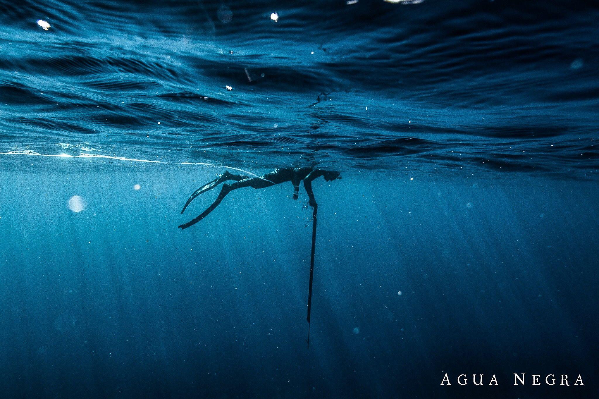 2048x1364 Aqua Negra Film Review: An Introspective Spearfishing Adventure