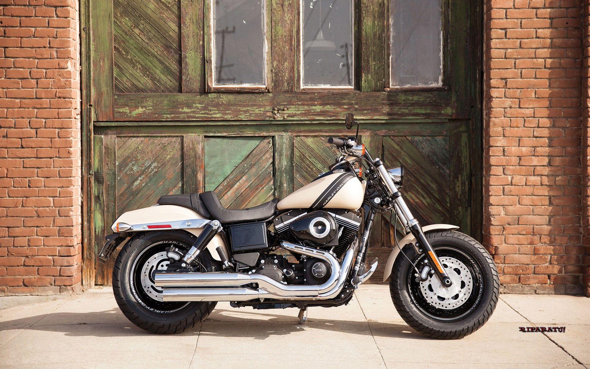  Harley Davidson  Dyna  Wallpapers Top Free Harley Davidson  