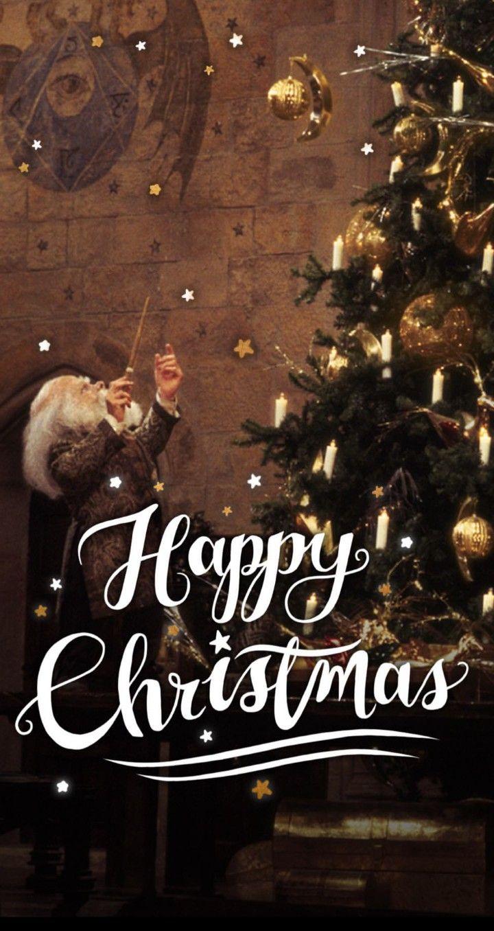 720x1356 Harry Potter Christmas Wallpaper