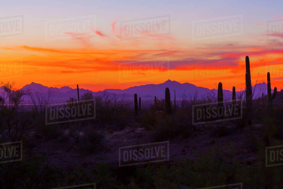 1200x800 Desert Sunset Image