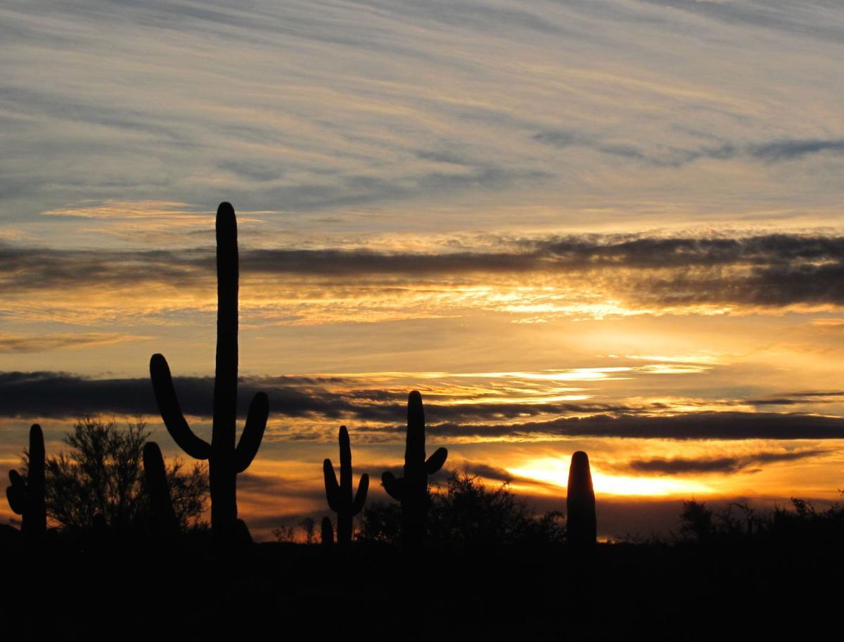 1200x913 Chill out: 11 Tucson places to go when you're about to lose your sanity
