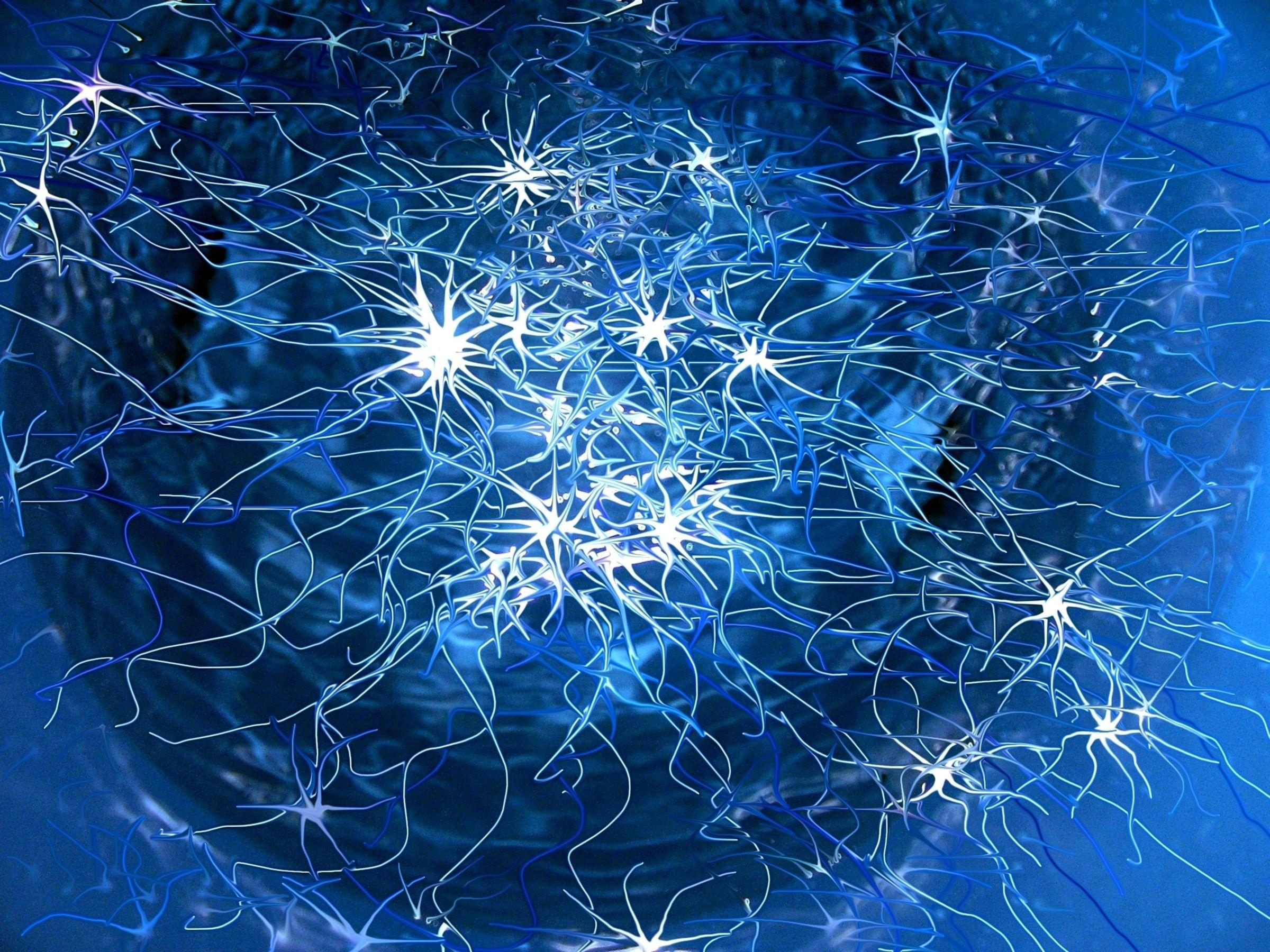 2400x1800 Neuron Wallpaper background picture