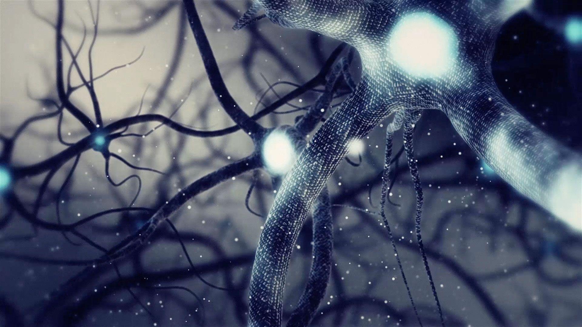1920x1080 Neuroscience Photo