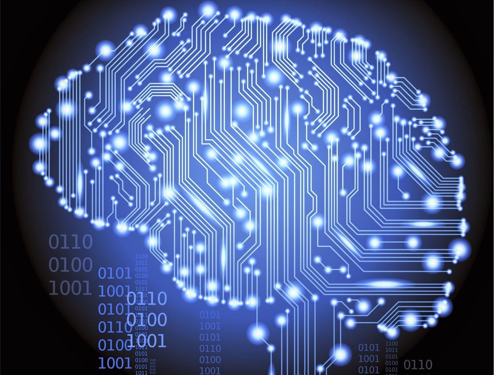 1600x1215 Brain Neurons