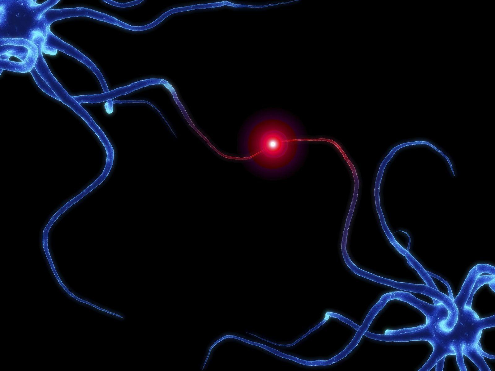 1600x1200 Nerve Cell Wallpaper. Nerve Damage Wallpaper, Nerve Background and Nerve Cell Wallpaper