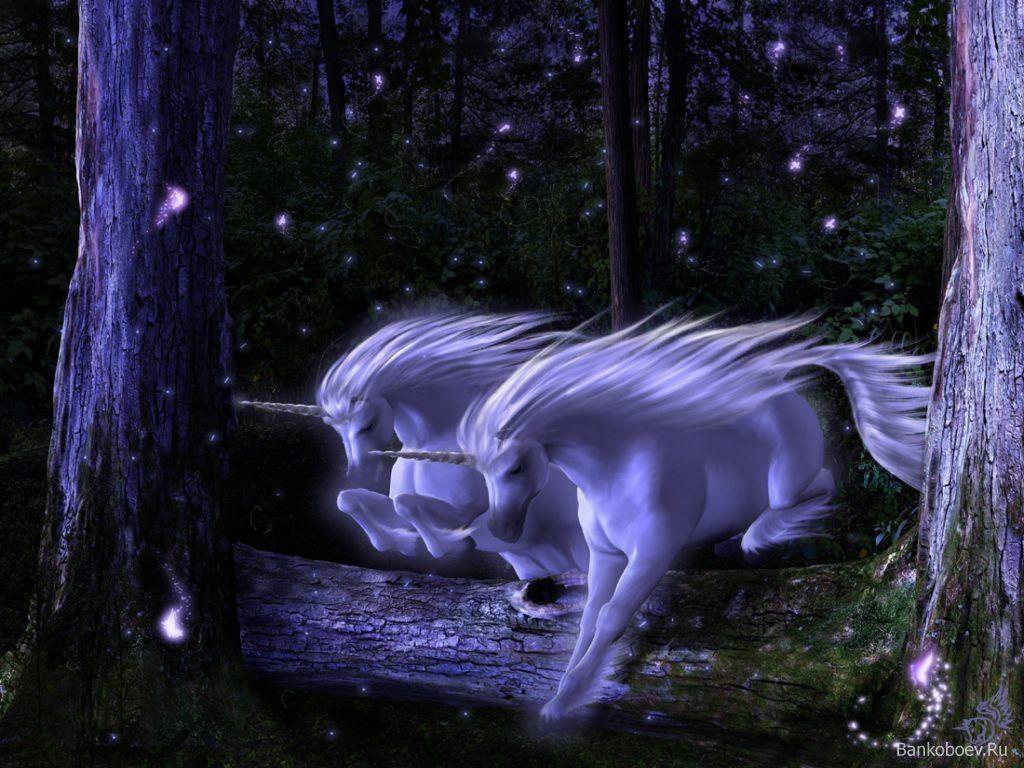 1024x768 Mythical Creatures Wallpaper