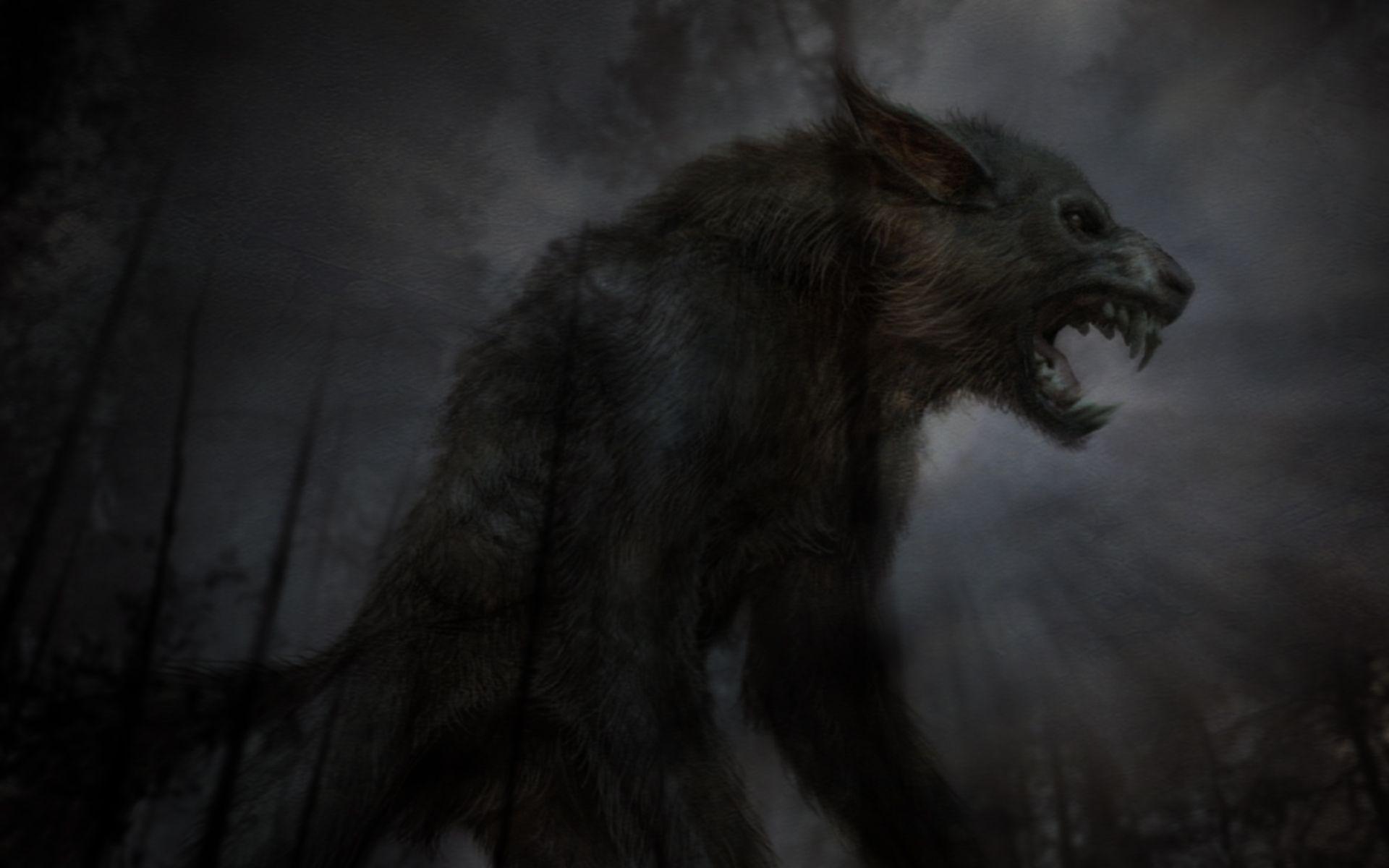 1920x1200 Anime Black Wolf Wallpaper