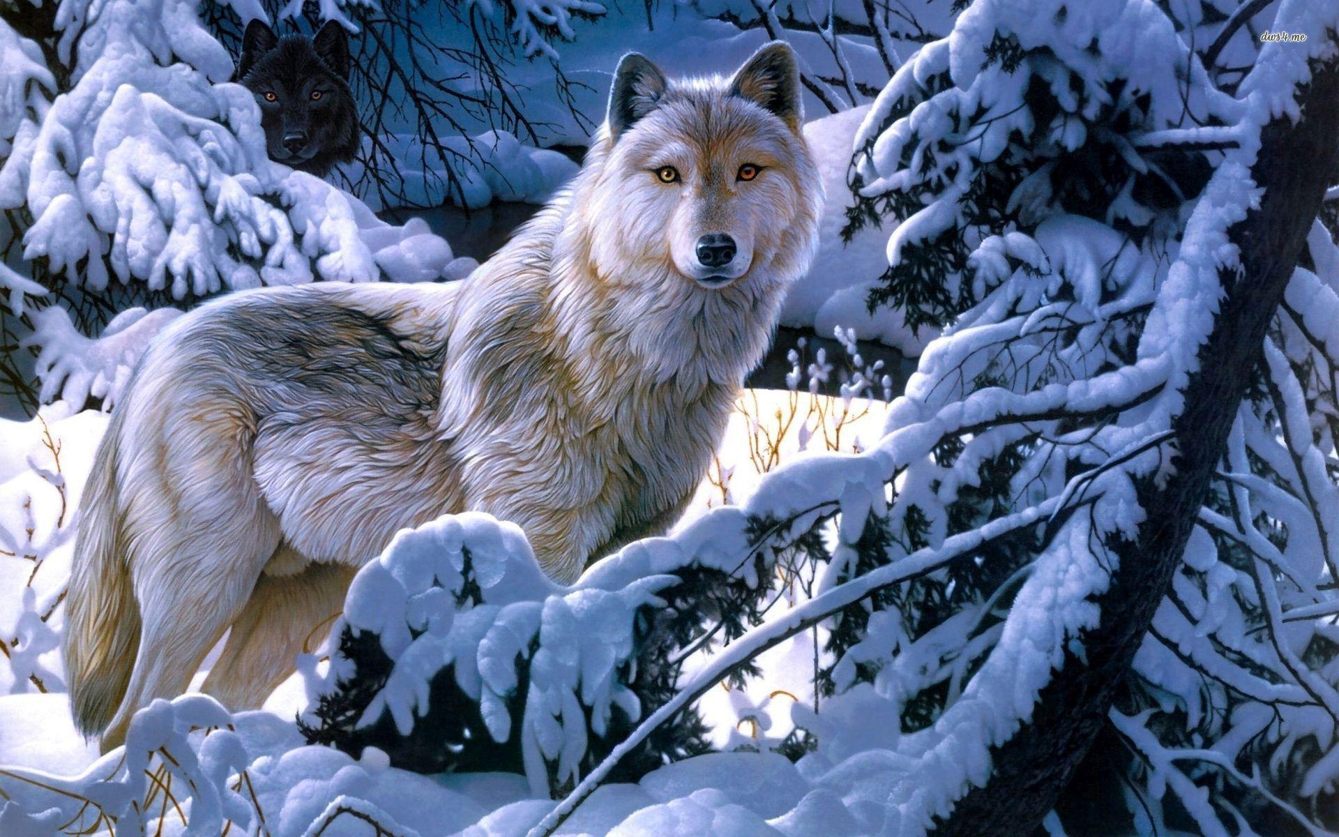 1920x1200 White Anime Alpha Wolf
