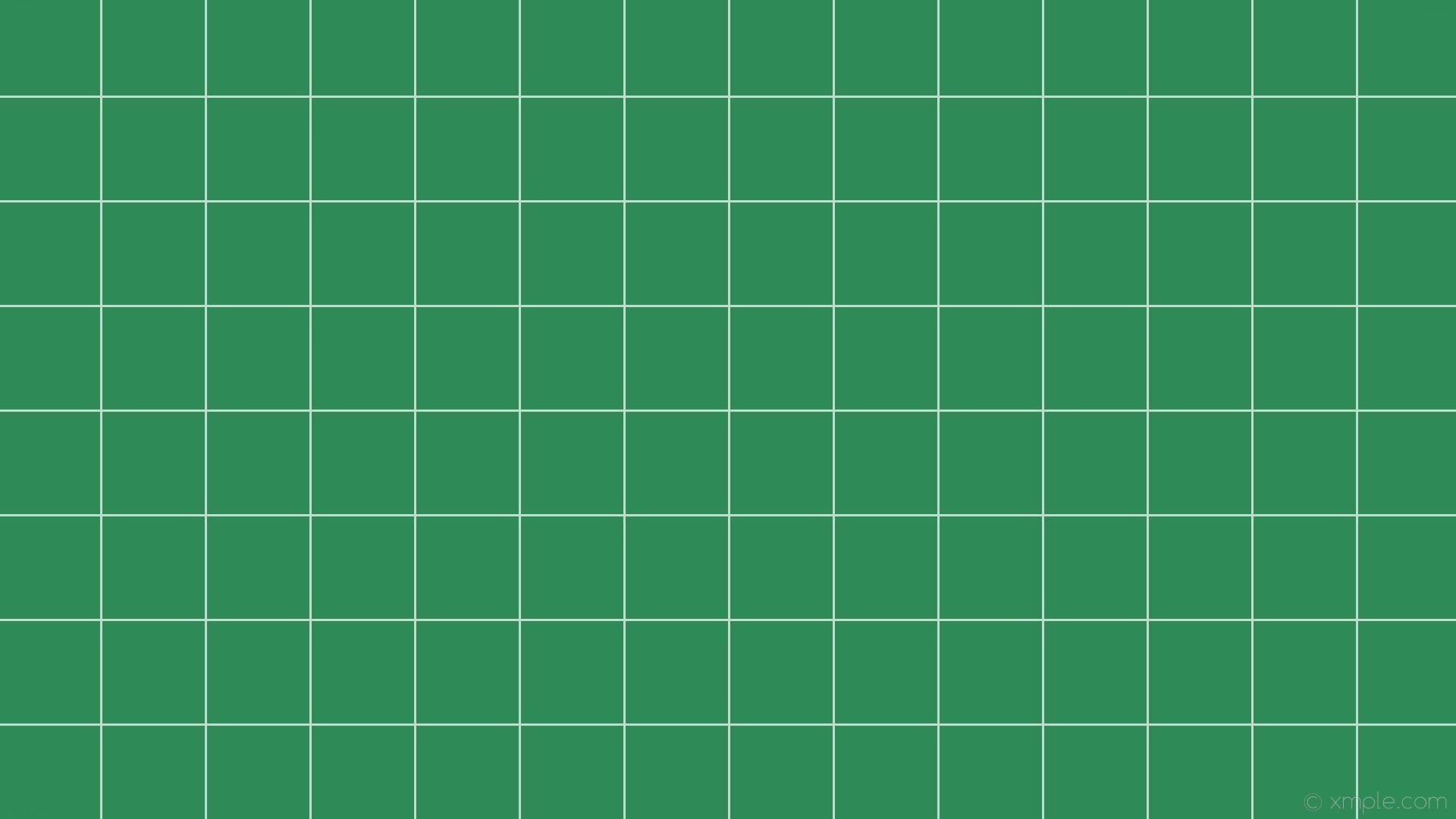 1920x1080 Aesthetic Grid Plants Wallpaper