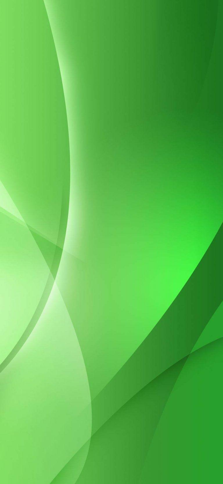 768x1664 HD Mobile Phone Wallpaper for Background. Green Background Phone Wallpaper