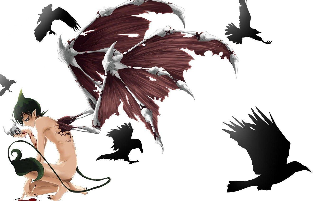 1332x850 Wallpaper blood, skull, wings, anime, the demon, tail, horns, guy, Raven, Blue exorcist, ao no exorcist image for desktop, section сэйнэн