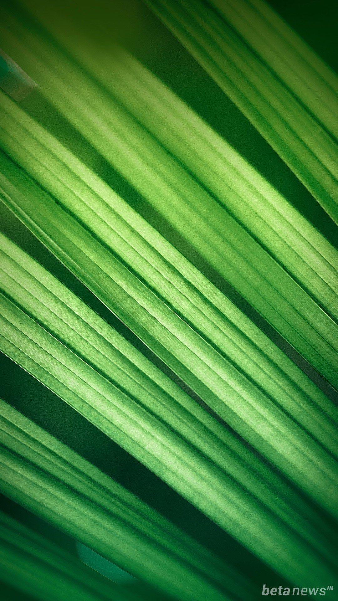 1080x1920 MIUI Wallpaper. MIUI Wallpaper, MIUI Wallpaper Red and MIUI Wallpaper Blue