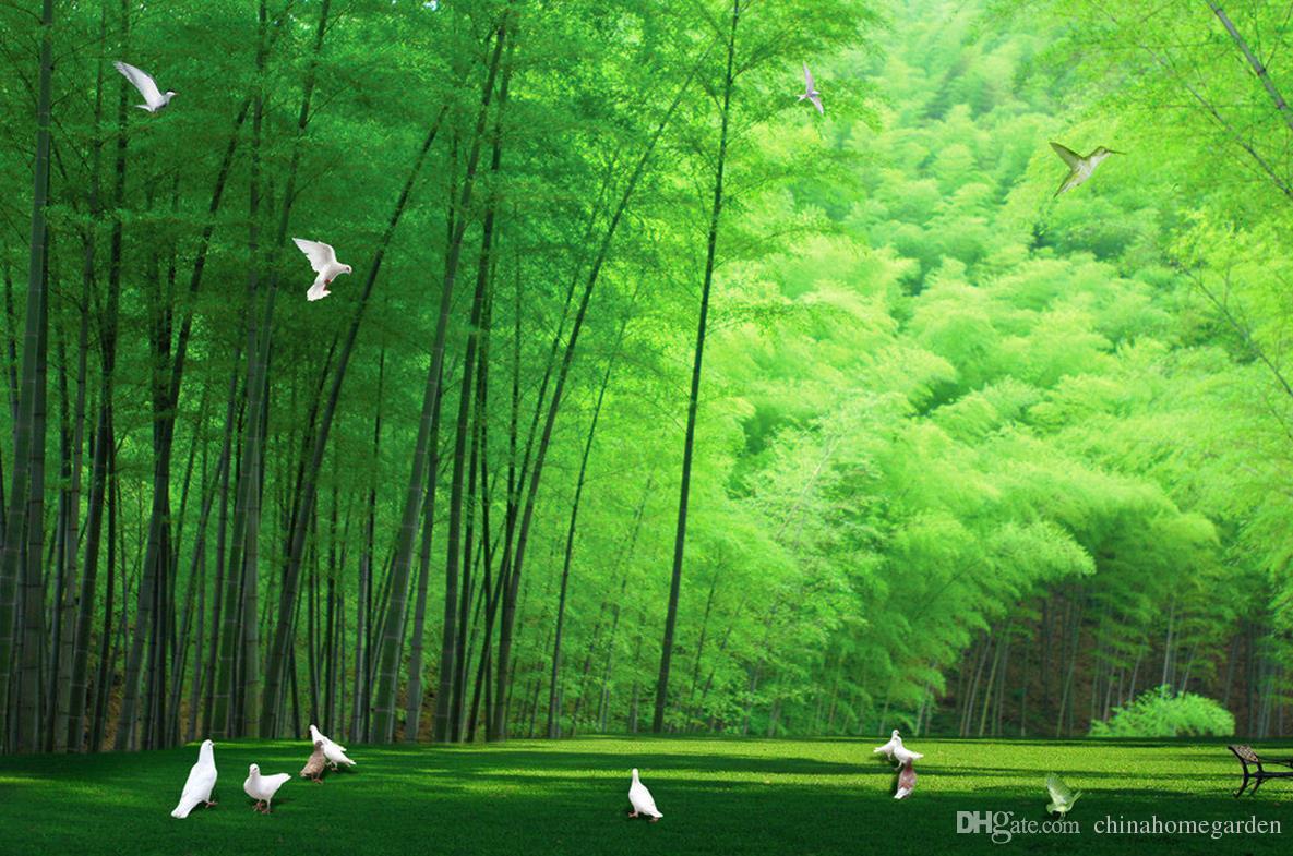 1185x785 Beautiful Bamboo Forest Pigeon Background Wall Mural 3D Wallpaper 3D Wall Papers For Tv Backdrop From Chinahomegarden, $34.18
