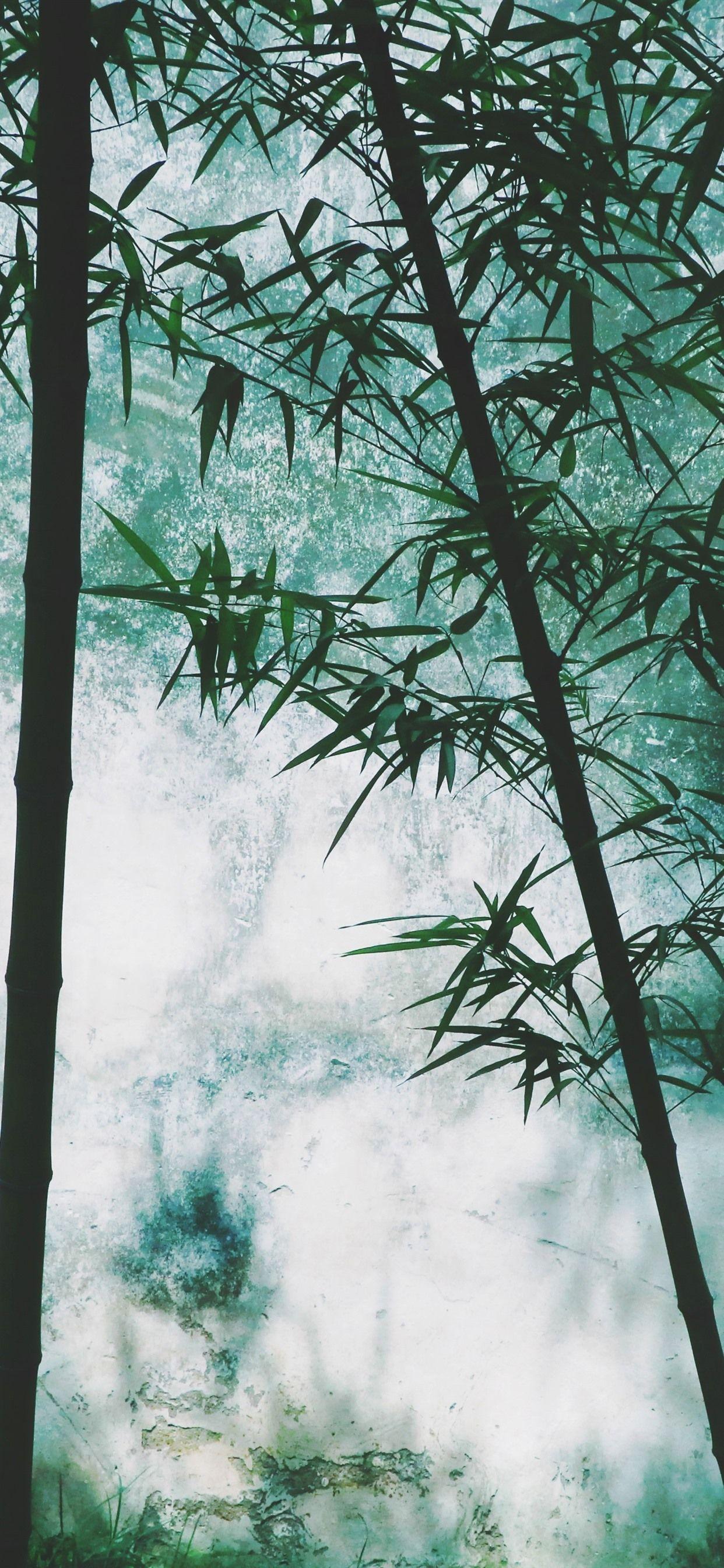1242x2688 Bamboo Forest, Beautiful Scenery 1242x2688 IPhone 11 Pro XS Max Wallpaper, Background, Picture, Image