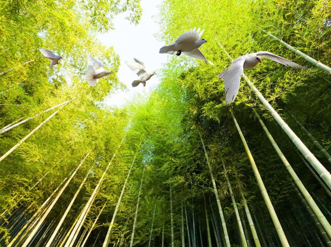1100x822 Beautiful Scenery Wallpaper 3D Beautiful Bamboo Forest Ceiling 3D Ceiling Murals Wallpaper Background Wallpaper Widescreen Desktop Wallpaper From Catherine $16.59.