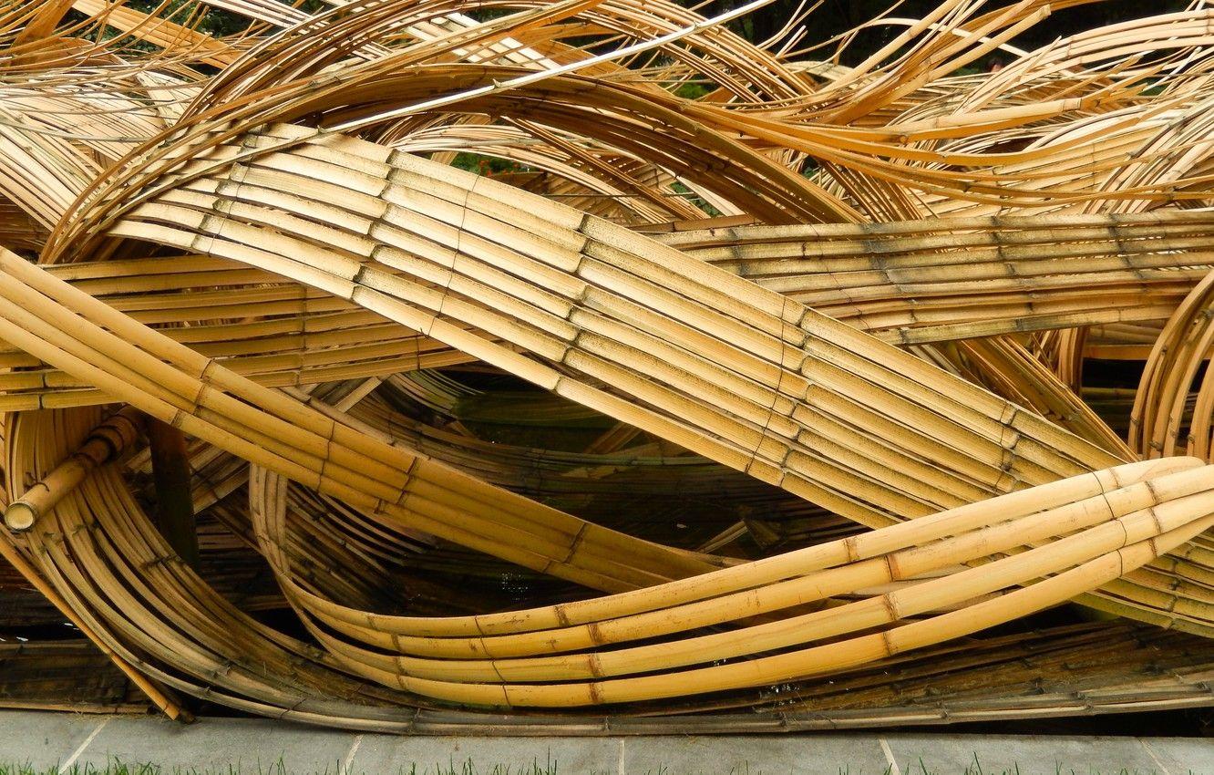 1332x850 Wallpaper reflection, background, widescreen, Wallpaper, bamboo, wallpaper, pond, widescreen, background, beautiful Wallpaper, the Wallpaper, full screen, HD wallpaper, widescreen, fullscreen, installation image for desktop, section разное