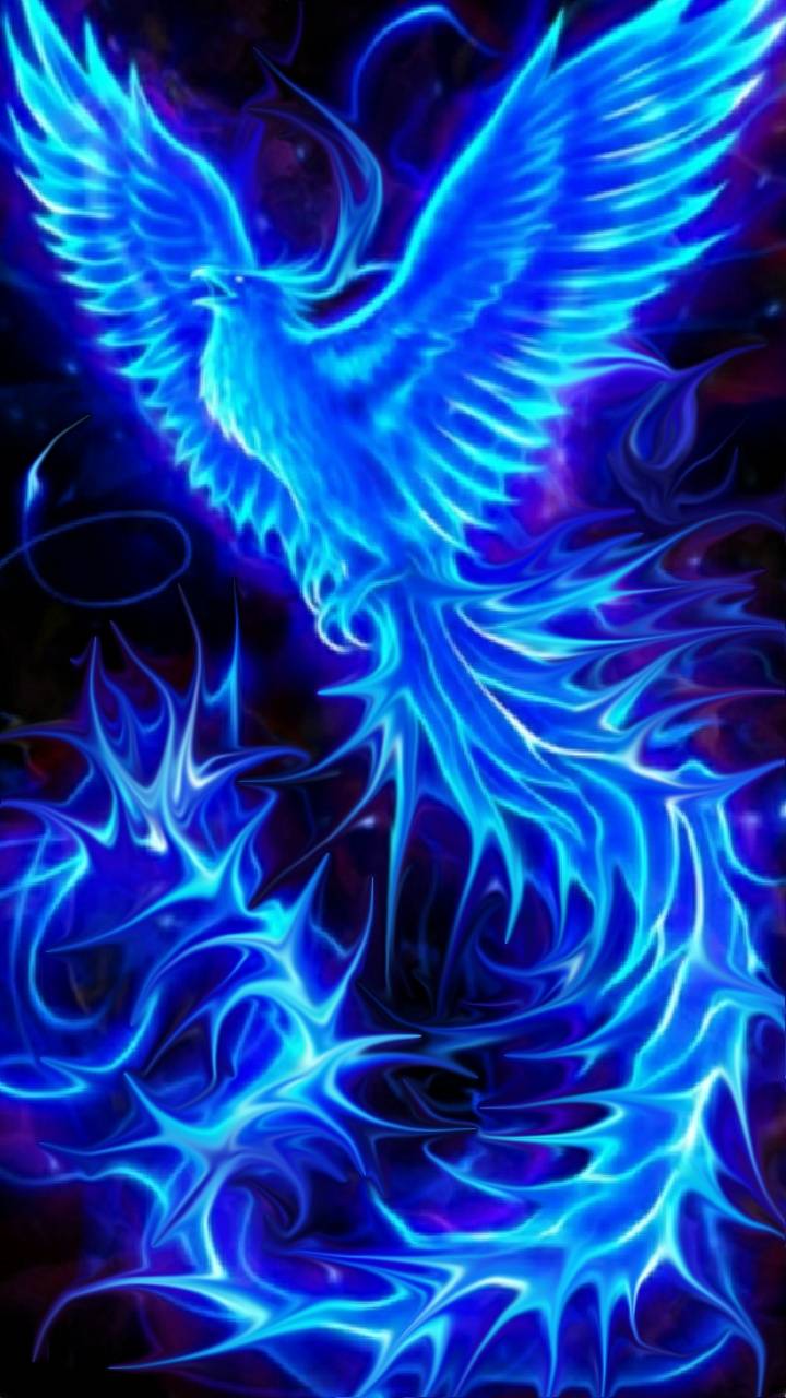 Neon Phoenix Wallpapers - Top Free Neon Phoenix Backgrounds ...