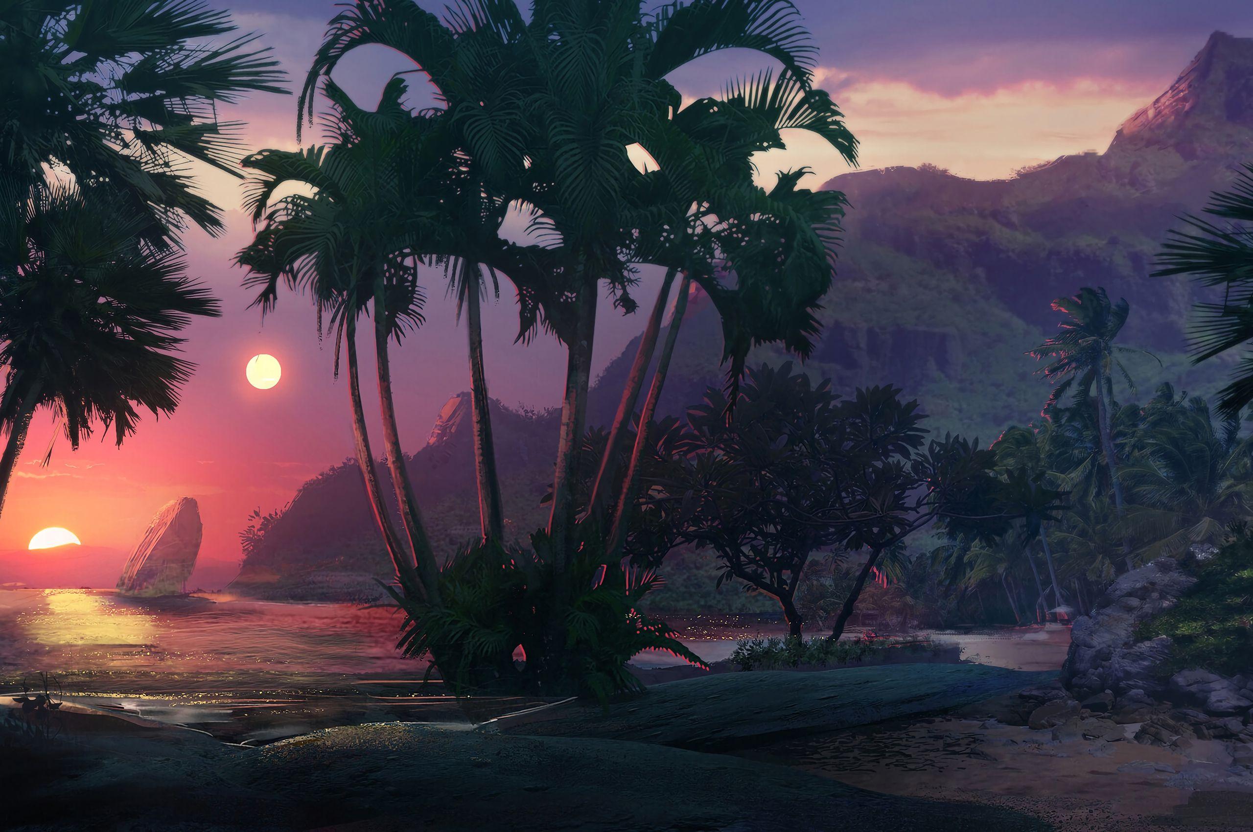 2560x1700 Palm Tree 4k Chromebook Pixel HD 4k Wallpaper, Image, Background, Photo and Picture
