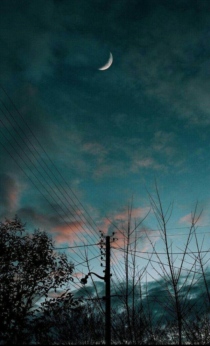 720x1189 Night Woods Aesthetic Wallpaper & Background Download