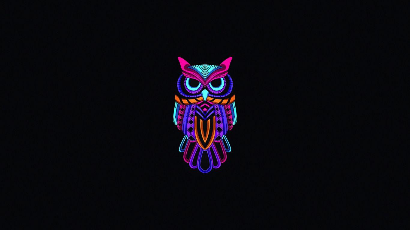 1366x768 Owl Minimal Dark 4k 1366x768 Resolution HD 4k Wallpaper, Image, Background, Photo and Picture