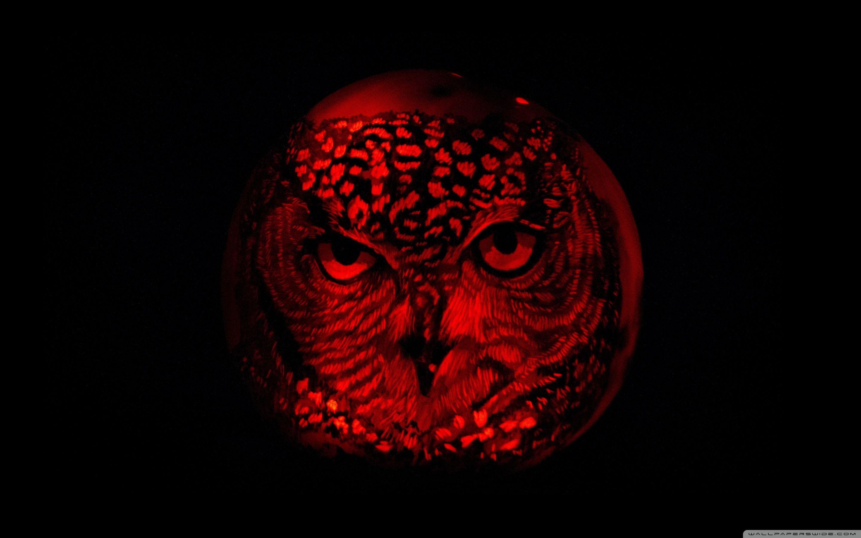 2880x1800 Free download Owl Pumpkin Carving 4K HD Desktop Wallpaper for 4K Ultra HD TV [2880x1800] for your Desktop, Mobile & Tablet. Explore Halloween Owl Wallpaper. Halloween Owl Wallpaper, Owl