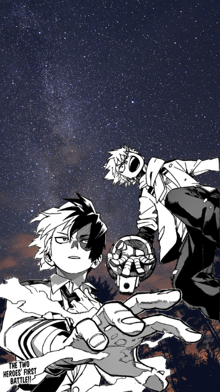 737x1311 Todobaku Wallpaper .