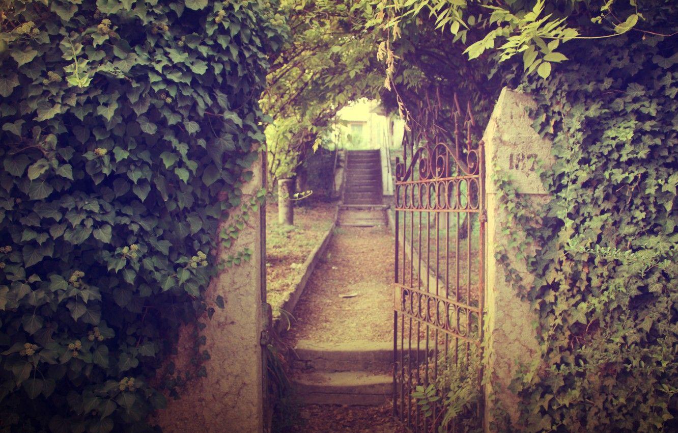1332x850 Wallpaper road, leaves, nature, wall, plants, gate, garden, stage, path, wicket, ivy image for desktop, section природа