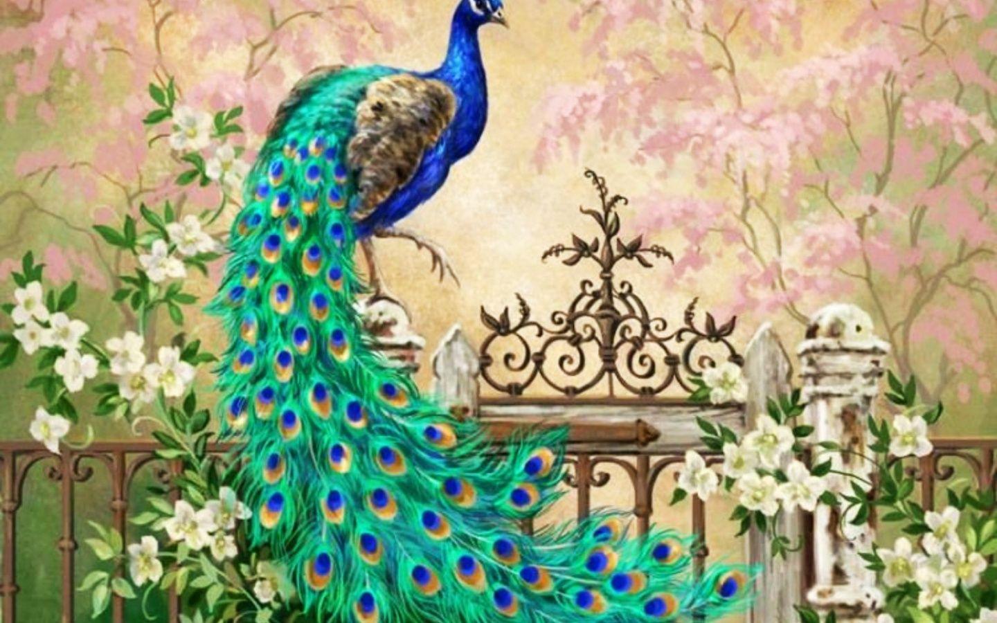 1440x900 Pretty Peacock Garden Gate Desktop Pc And Mac Wallpaper Image HD Download