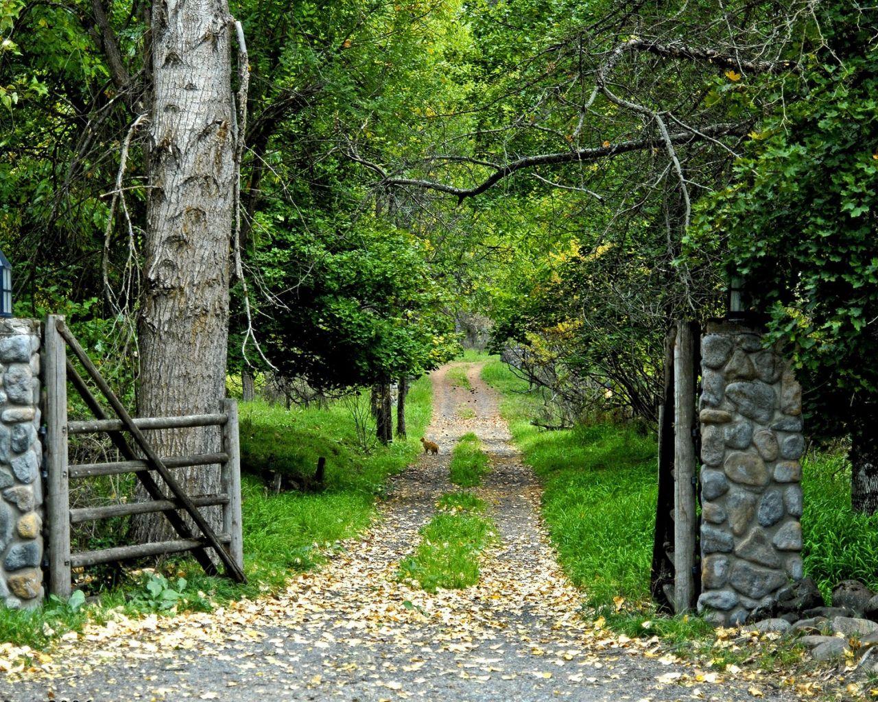 1280x1024 Free download Wallpaper tree road garden gate Road to a green garden [1920x1200] for your Desktop, Mobile & Tablet. Explore Wallpaper Gate. Golden Gate Wallpaper, Golden Gate Bridge Wallpaper