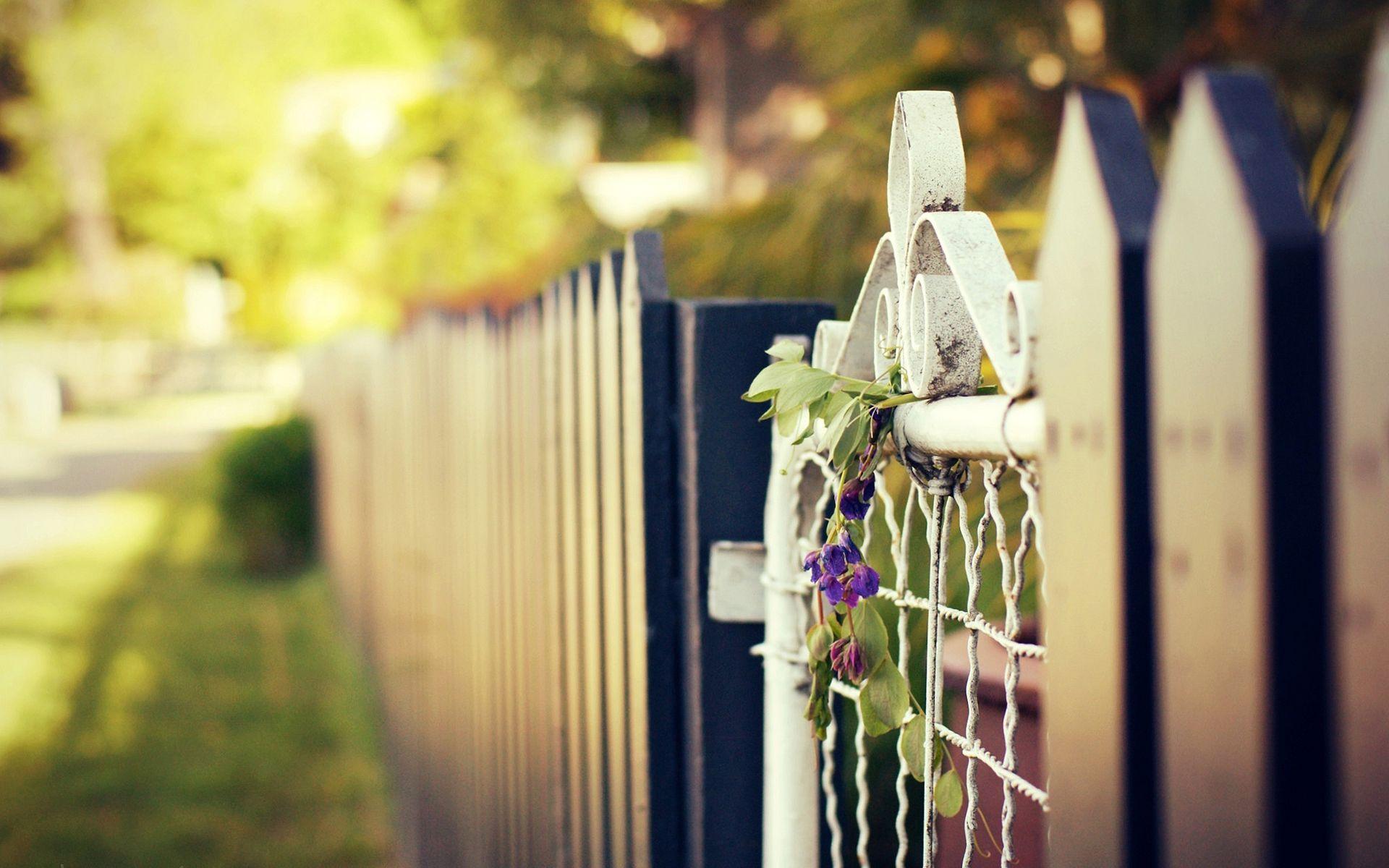 1920x1200 Garden fence