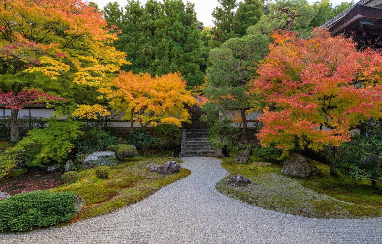 1332x850 Wallpaper Nature, Autumn, The fence, Japan, Garden, Gate, Temple, Park image for desktop, section природа