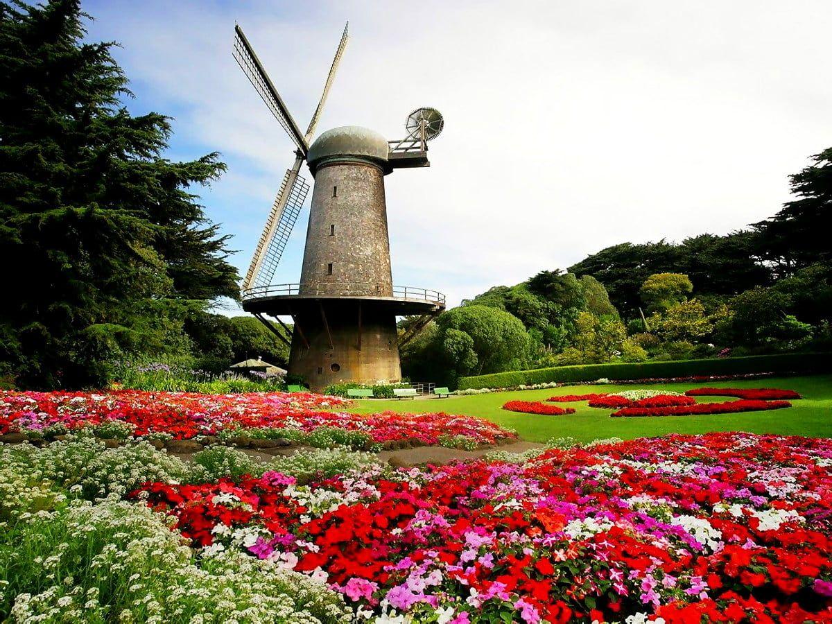 1200x900 Minimalist Windmill, Botanical Garden, Flowers background picture ◾ FREE Best photo ◾ Wallpapic