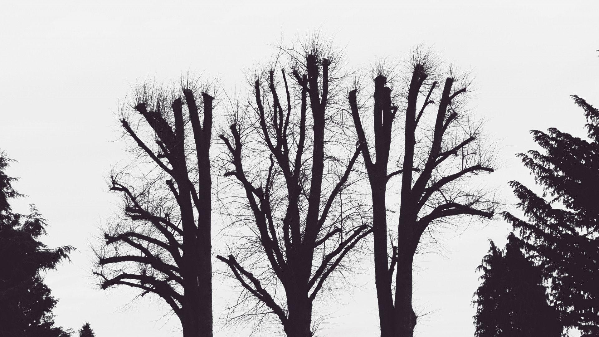 1920x1080 Black And White Aesthetic Wallpaper Desktop