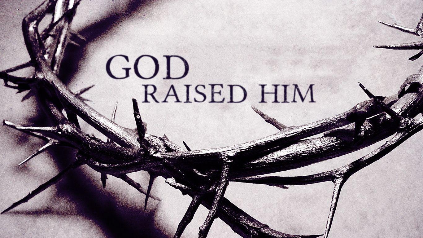 1366x768 Crown of Thorns Wallpaper .