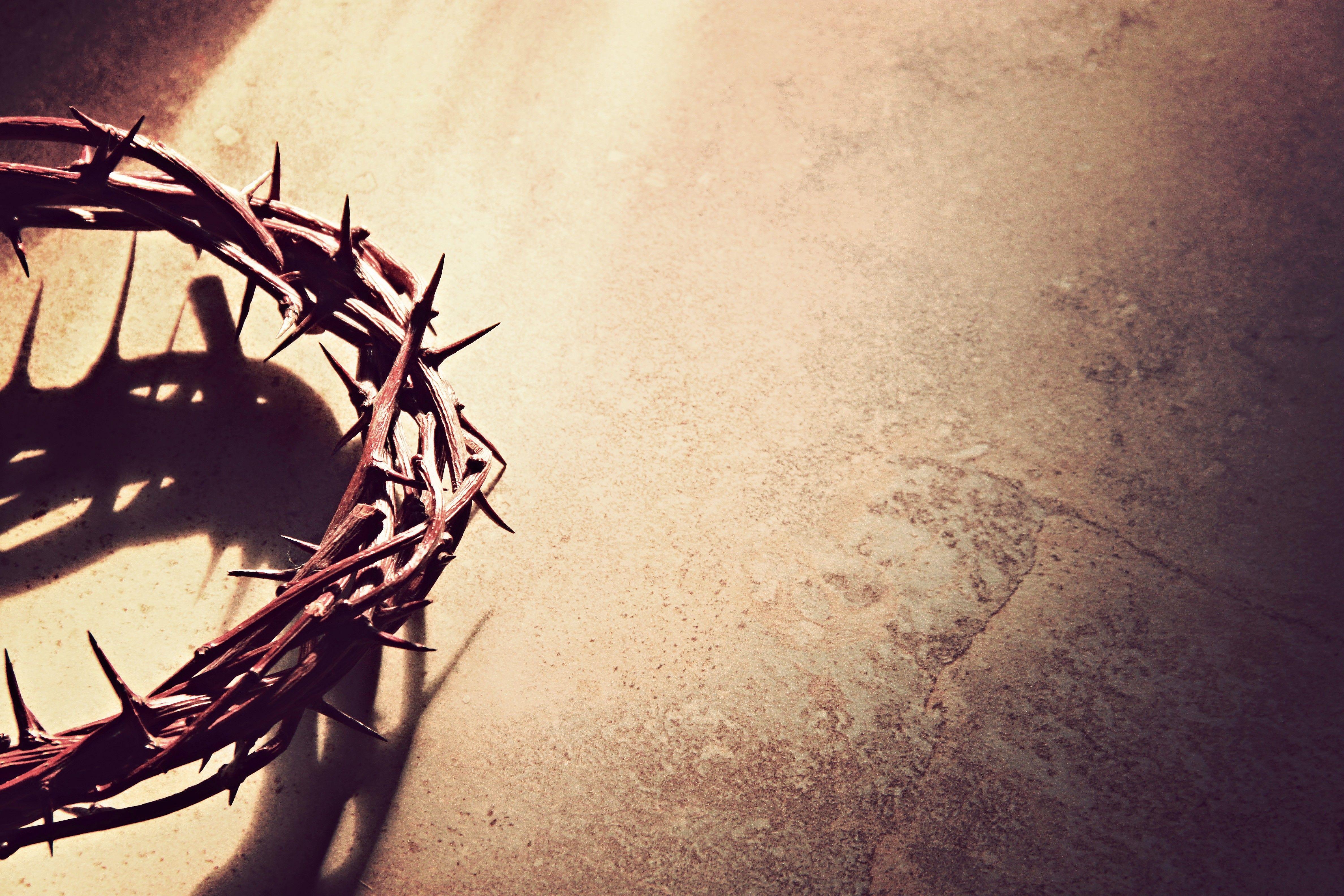 4752x3168 Crown of Thorns Worship Background. Crown of Thorns Wallpaper, Sleeping Beauty Thorns Wallpaper and Crown of Thorns PowerPoint Background