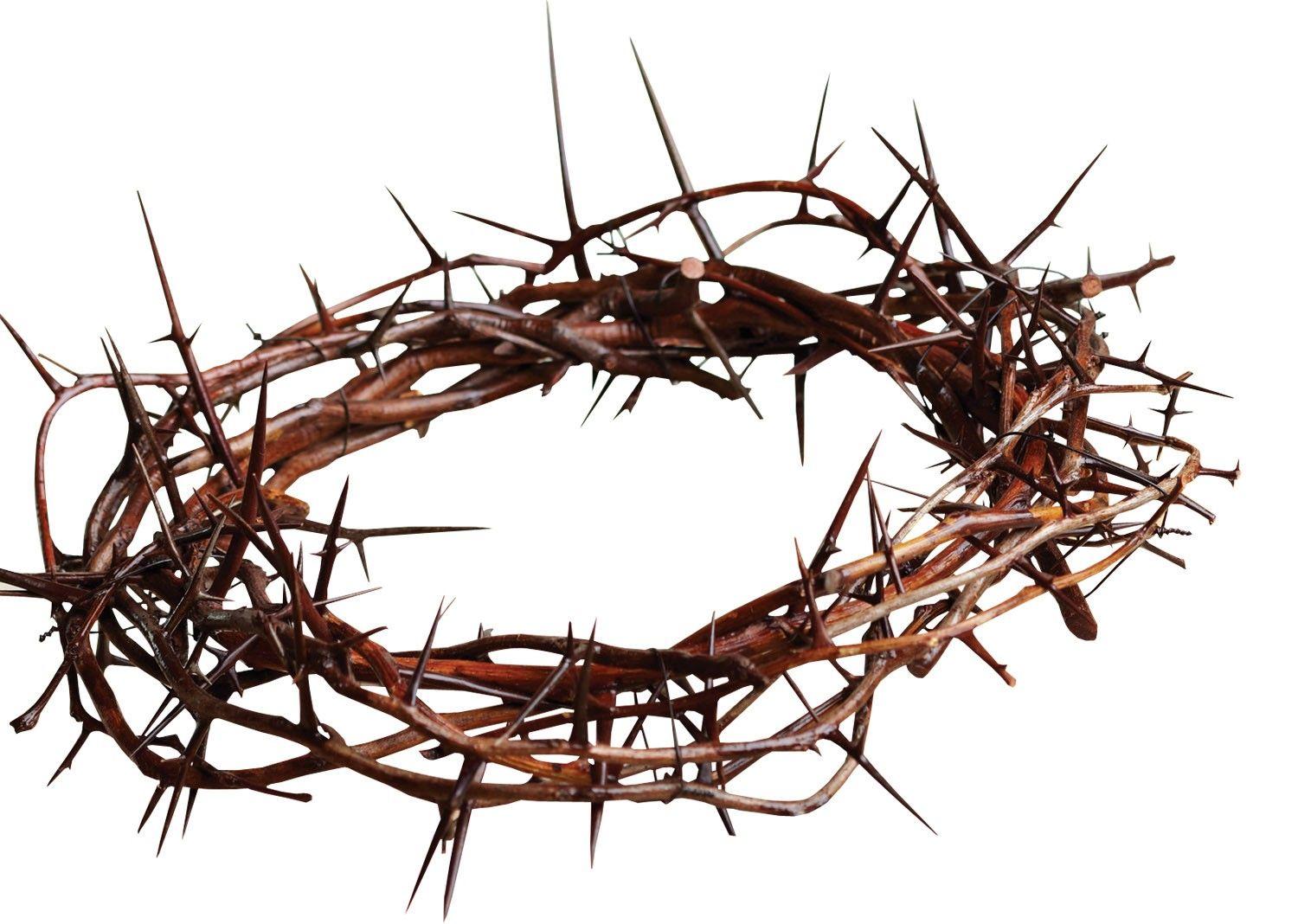 1500x1068 Free download Crown of Thorns Downward Upward and Forward Behind Jesus [1500x1068] for your Desktop, Mobile & Tablet. Explore Thorn Wallpaper. Thorn Wallpaper