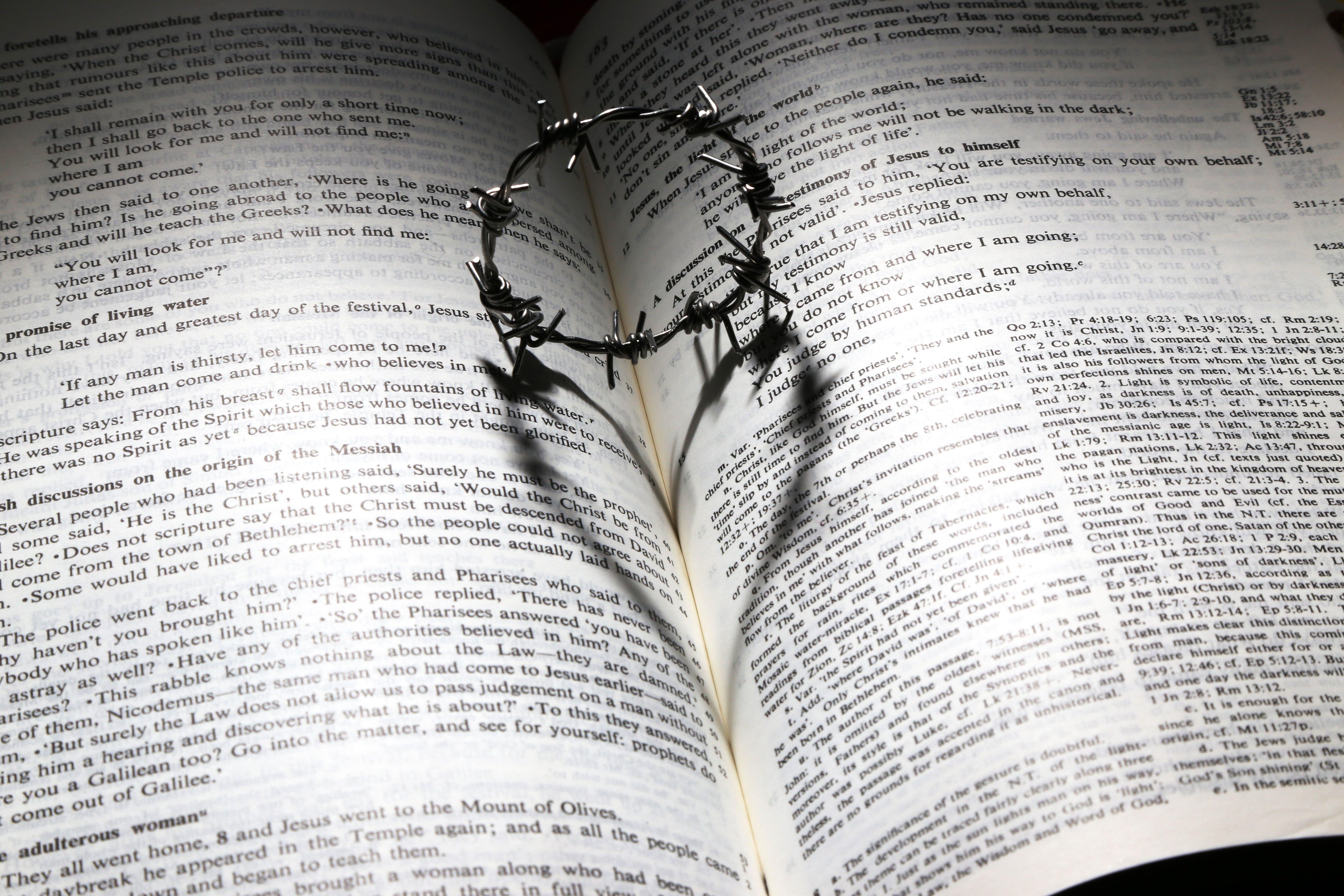 5472x3648 Good Friday Crown Of Thorns