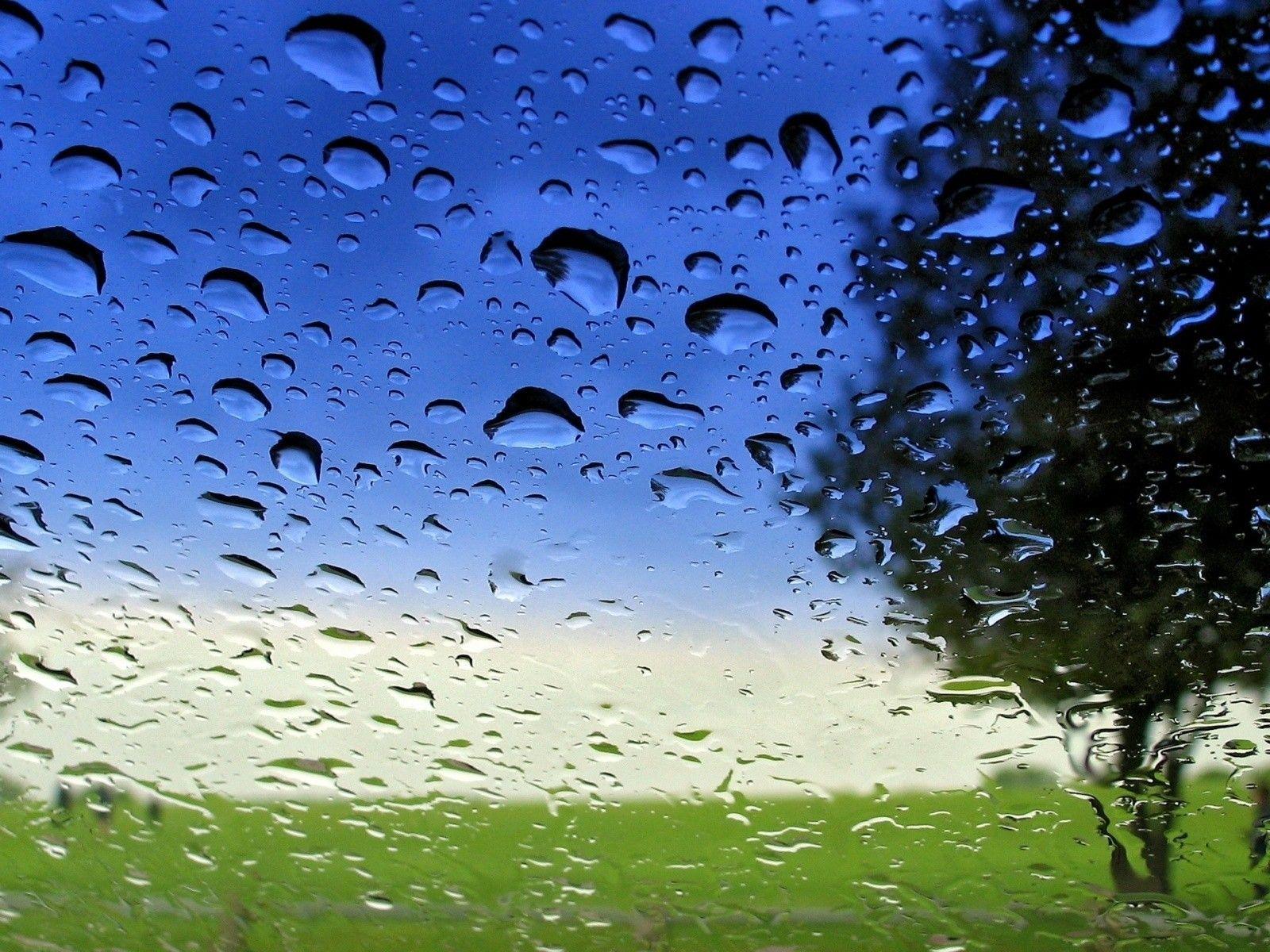 1600x1200 humidity HD wallpaper, background