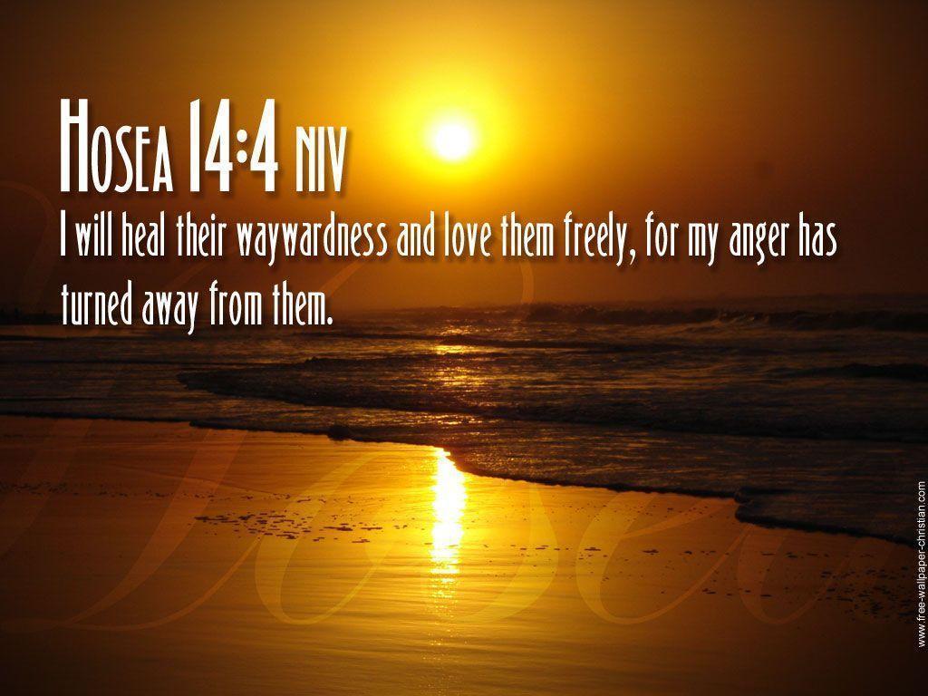 1024x768 Healing Wallpaper