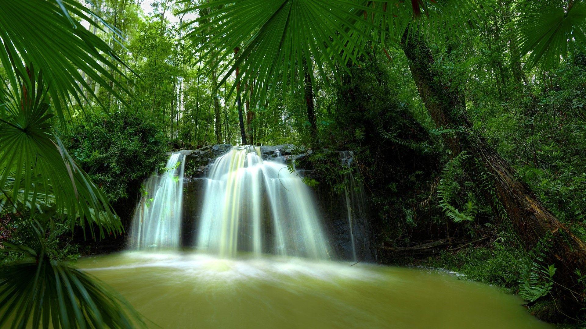 1920x1080 humidity HD wallpaper, background