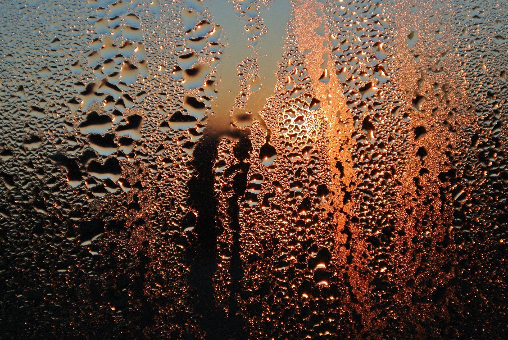 1920x1285 How humidity affects your life unknowingly and how to deal with it