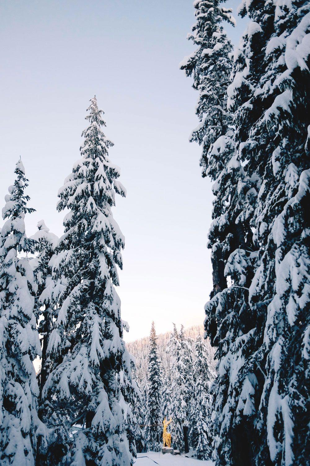 1000x1500 The Peak of Christmas Vogue or Bust. Winter landscape, Winter wallpaper, Winter photography