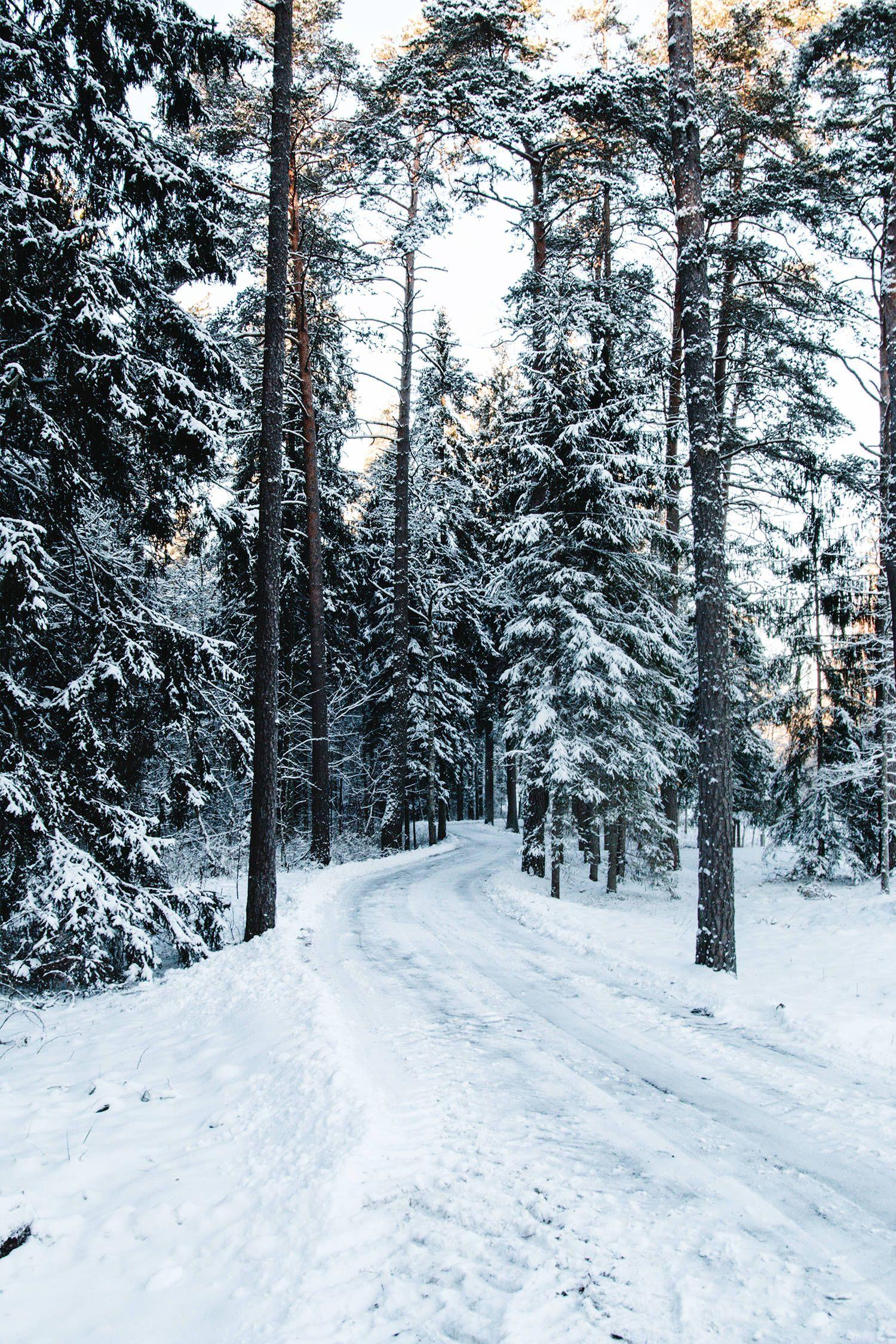 1500x2250 My photo. Winter landscape, Winter scenery, Winter scenes