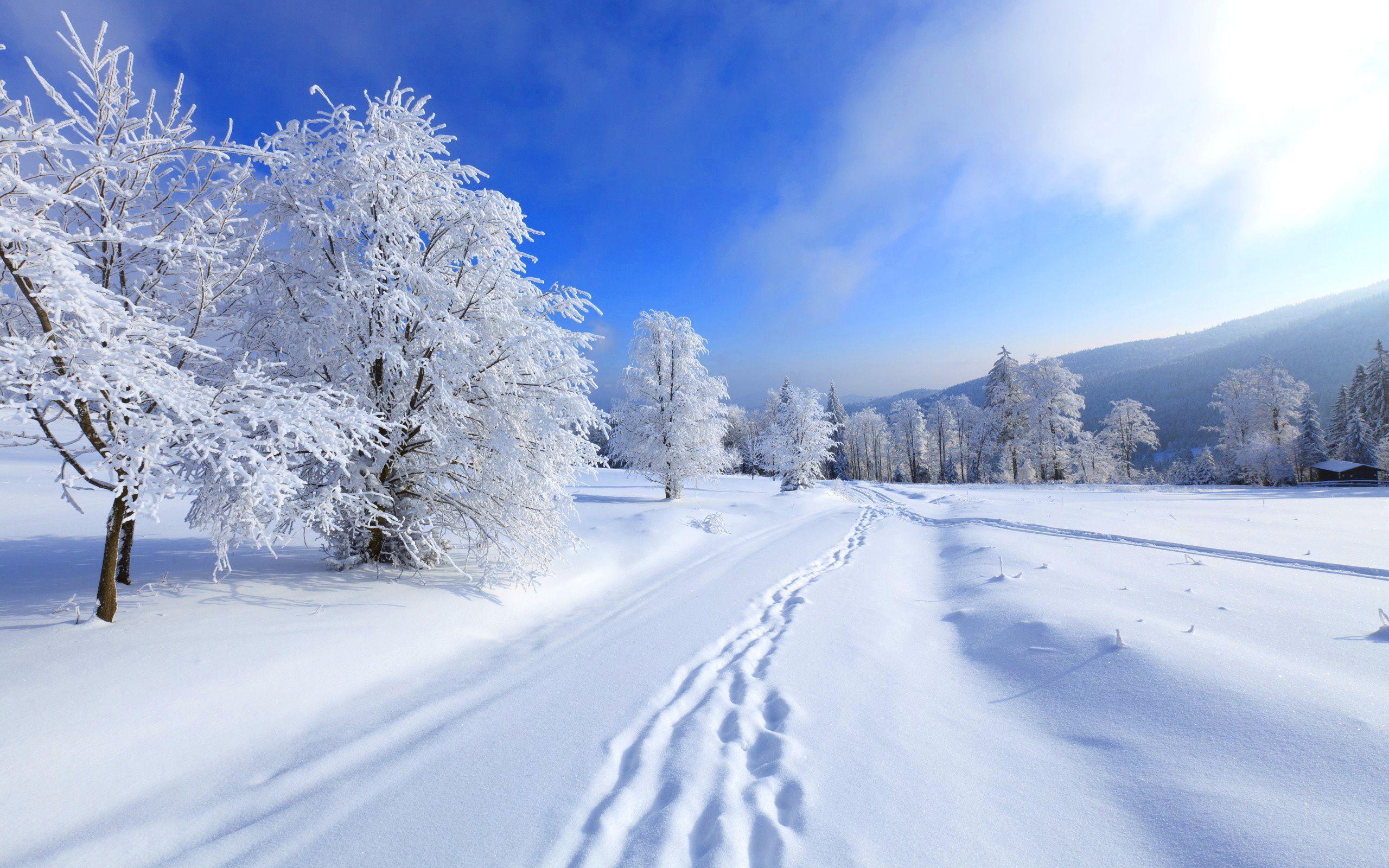 2560x1600 Winter wallpaper, Artistic, HQ Winter pictureK Wallpaper 2019